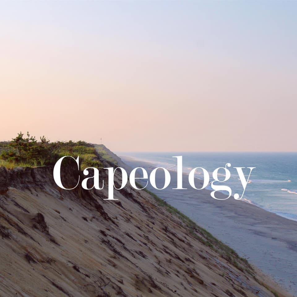 Capeology logo