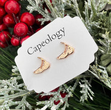 Load image into Gallery viewer, Nantucket Earrings