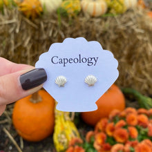 Load image into Gallery viewer, Seashell Earrings - Capeology