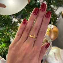 Load image into Gallery viewer, Cape Cod Adjustable Ring