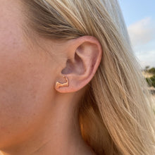 Load image into Gallery viewer, Cape Cod Earrings - Capeology
