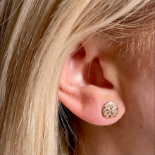Load image into Gallery viewer, Sand Dollar Earrings - Capeology