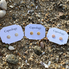 Load image into Gallery viewer, Sand Dollar Earrings - Capeology