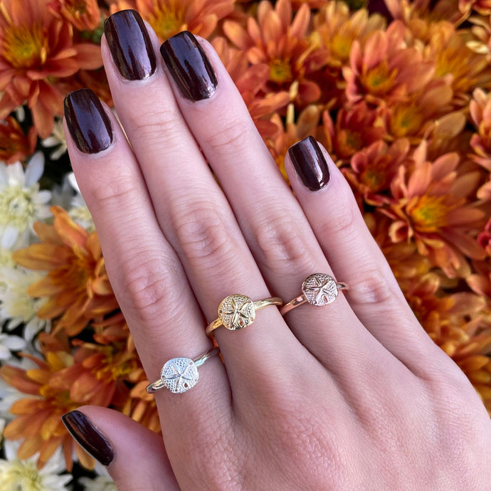 Sand Dollar Adjustable Ring - Capeology