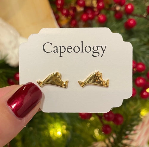 Martha's Vineyard Earrings
