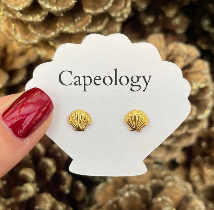 Seashell Earrings