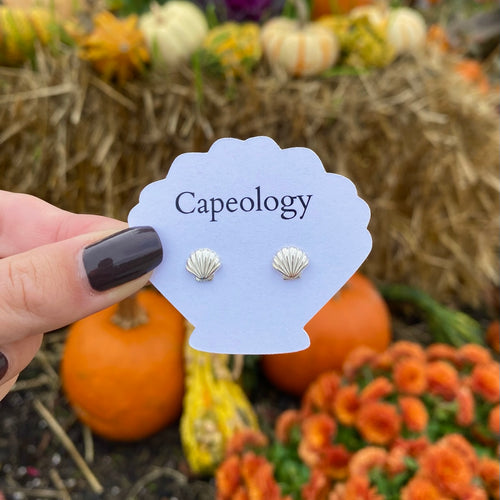 Seashell Earrings