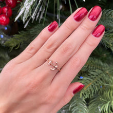 Load image into Gallery viewer, Adjustable Anchor Ring