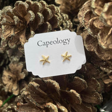 Load image into Gallery viewer, Starfish Earrings