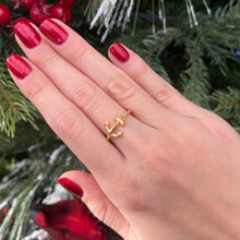 Load image into Gallery viewer, Adjustable Anchor Ring
