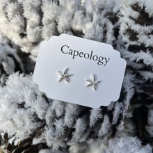 Load image into Gallery viewer, Starfish Earrings