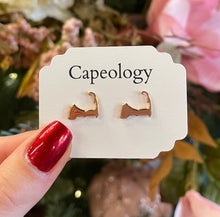 Load image into Gallery viewer, Cape Cod Earrings