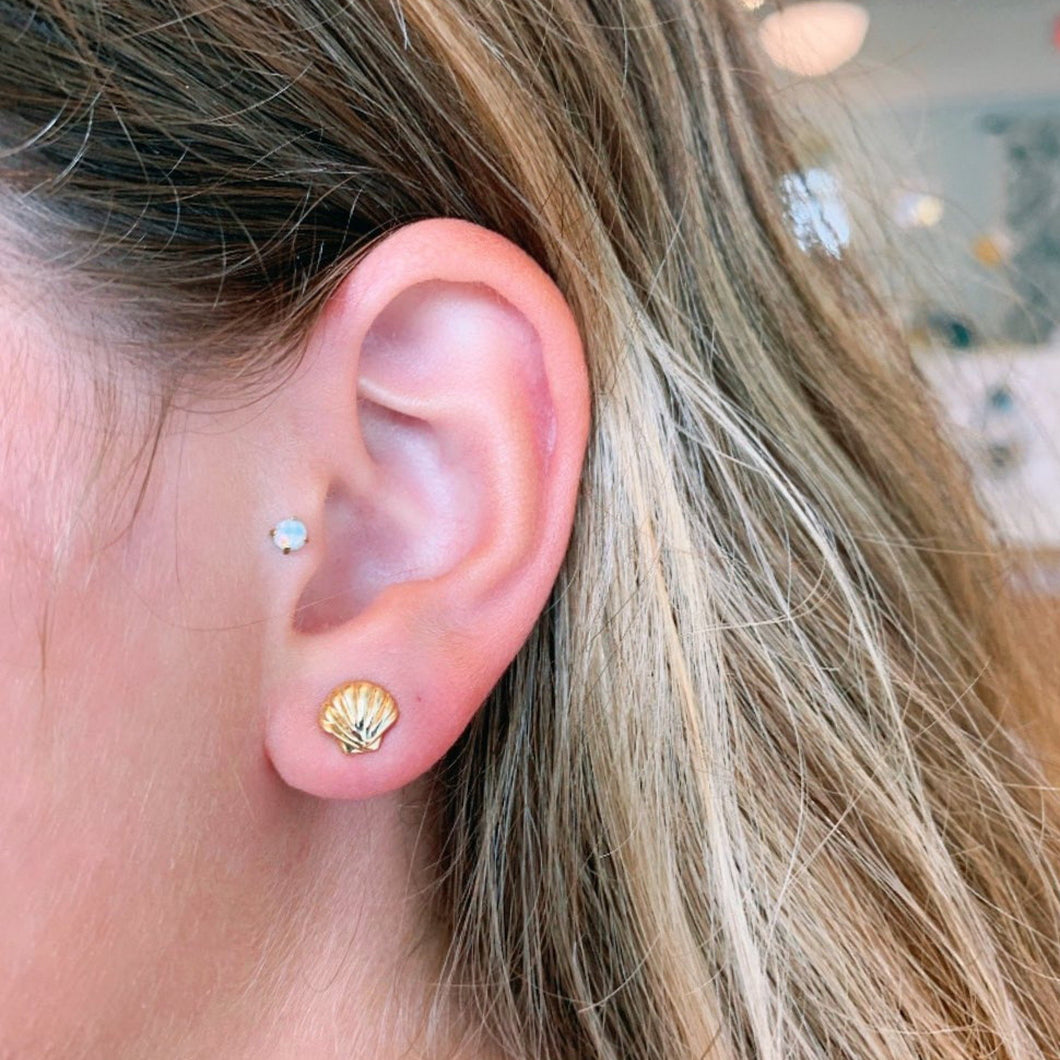 Seashell Earrings - Capeology