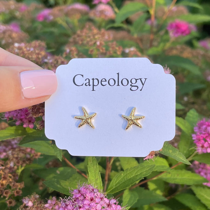 Starfish Earrings - Capeology