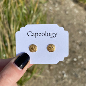 Sand Dollar Earrings - Capeology