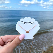 Load image into Gallery viewer, Seashell Necklace - Capeology