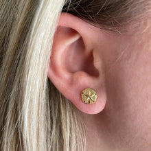 Load image into Gallery viewer, Sand Dollar Earrings - Capeology