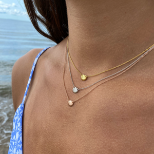 Seashell Necklace - Capeology