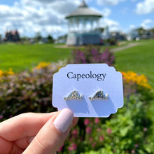 Load image into Gallery viewer, Martha&#39;s Vineyard Earrings - Capeology