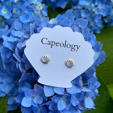 Load image into Gallery viewer, Seashell Earrings - Capeology