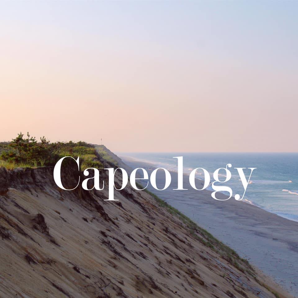 Gift Card - Capeology